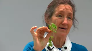 Barbara O'Neill - Part 11: Herbs