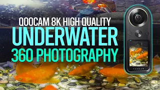 Secrets to High Quality UNDERWATER 360 Photography with QooCam 8K