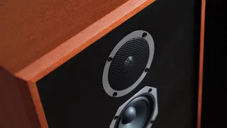 TOP 3 AUDIOPHILE PRODUCTS!  My Favorite Speakers & Amps that I Reviewed (2021)