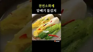 여름내내 시원한~알배추 물김치 무르지않고 아삭한 오이 알배기 백김치 #shotrs