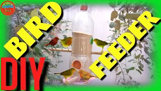 Bird Feeder DIY: How to Make Bird Feeder using Plastic Bottle At Home 2020 (Simple & Fast!)