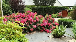 Прекрасные идеи для благоустройства сада и двора / Creative ideas for landscaping the garden plot