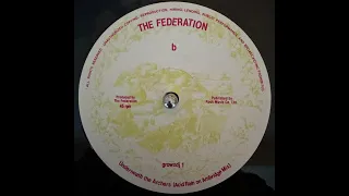 The Federation  - Underneath the Archers (Acid Rain on Ambridge Mix)