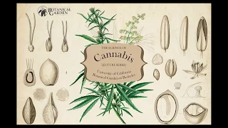 The Ethnobotany of Cannabis