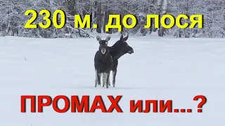 Охота НА ЛОСЯ. ПРОМАХ или ПОДРАНОК, стреляю на 230 метров...