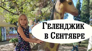 Лайфстайл из Геленджика! БЕДА с жильём! Кусочек ЯКУТИИ! Еда! Работа! Погода! Друзья! Успехи!