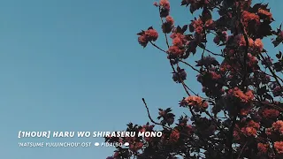 [1Hour] Natsume Yuujinchou OST - Haru wo Shiraseru mono (Piano Cover)