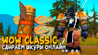 WoW Classic - Хардкорный друид! Прокачка с одной жизнью!