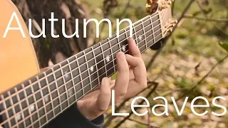 Autumn Leaves - Fingerstyle Acoustic Guitar - Jazz Standard