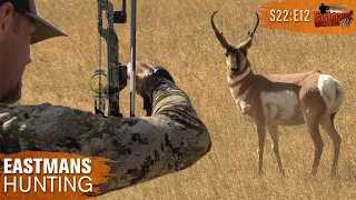 Bow Hunting Public Land Antelope (Eastmans' Hunting TV)
