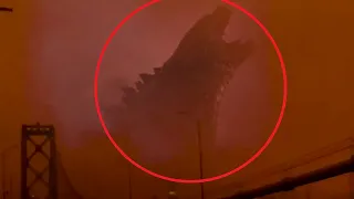 5 Godzilla Caught on Camera & Spotted in Real Life 3