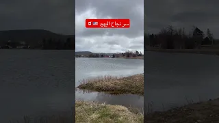 سر نجاح اليهود 🇨🇦🇺🇸💵