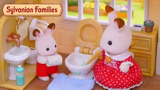 Spring Clean ✨🌸| Toy Play Compilation | Sylvanian Families