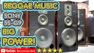 BIG SOUNDS FROM THE 80S REGGAE MUSIC SS G9 SPEAKERS