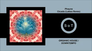 Phaune - Cicada (Latteo Remix) [Organic House & Downtempo] [Amselcom]