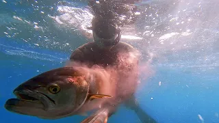 Spearfishing Croatia - Summer 2021