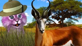 КТО МЕНЯ СЪЕЛ?! ДИКАЯ САВАННА В РОБЛОКС! roblox Wild Savanna