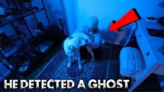 Our Dog Detected A GHOST In Our Condo (PARANORMAL ACTIVITY)
