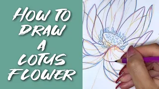 Episode 10: How to draw a LOTUS flower