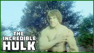 Hulk Solves The "Big Foot" Mystery | Season 2 Episode 05 | The Incredible Hulk