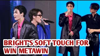 BRIGHT'S SOFT TOUCH FOR WIN METAWIN