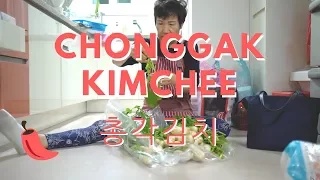 making chonggak kimchee with my aunt | korea vlog 09