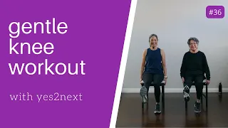 GENTLE KNEE WORKOUT | Seniors, Beginner Exercisers