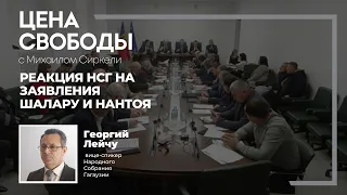 Депутаты НСГ обсуждали фейки? Что именно возмутило депутатов в заявлениях Нантоя и Шалару
