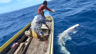 TREATING FISH ||  only this time the auto gave up!!  the fish can't be beat