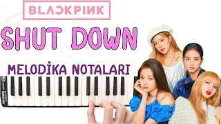 Blackpink - SHUT DOWN Melodika Notaları - Ses Veriyorum