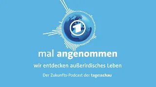 Erstkontakt zu Aliens? Was dann? | mal angenommen - tagesschau-Podcast