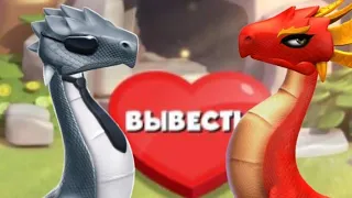 КТО ПОЛУЧИТСЯ ЕСЛИ СКРЕСТИТЬ ДРАКОНА АГЕНТ И КИПЕНИЕ?