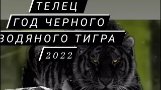 Телец 2022 🐯Особенный Таро-прогноз на 2022 год от Ruslana Magic #расклад #таро #тароонлайн #годтигра
