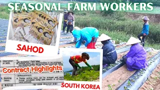 Filipino Farm Worker Salary in South  Korea