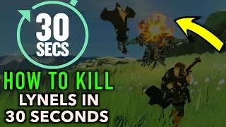 How to Beat a Lynel in 30 Seconds or Less in Zelda Breath of The Wild