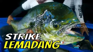 Pesta Strike Malam Hari di Morotai | MANCING MANIA STRIKE BACK (17/06/23) Part 2