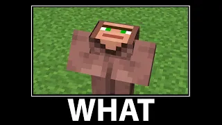 WAIT WHAT - Minecraft #14-19