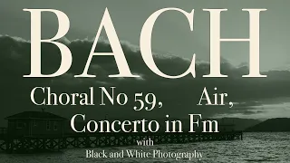 bach air