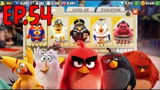 ANGRY BIRDS EVOLUTION - CORE FLOCK SET - RED,CHUCK,BOMB,MATILDA,TERENCE (MAX LEVEL MORE THAN LV100)