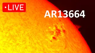 Solar Stream AR13664 Active Region - Livestream