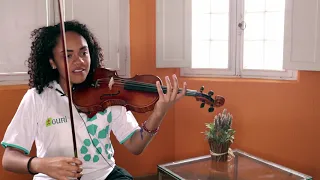 Conheça os instrumentos | Violino