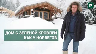 Мини-дом с зеленой кровлей. Каркасная берлога по уму // FORUMHOUSE