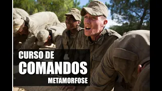 Curso de Comandos Metamorfose