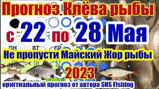 Прогноз клева рыбы на Эту неделю с 22 по 28 Мая  Календарь клева рыбы  Лунный календарь рыбака