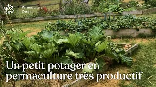 Permaculture au potager : 115 kg de légumes sur 50 m2 dans un jardin familial