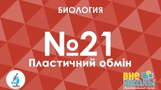 Онлайн-урок ЗНО. Биология №21. Пластический обмен.