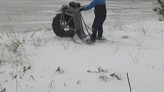 Снегоход каракат гКострома 2017