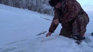 Жерлицы на Иртыше в районе Тобольска 19.01.17г