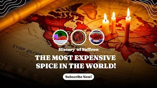 All About Saffron The Most Expensive Spice in the World