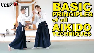 Aikido Principles You MUST Know